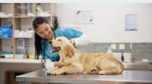 Fully Equipped Veterinary & Wellness Clinic in Pasig City