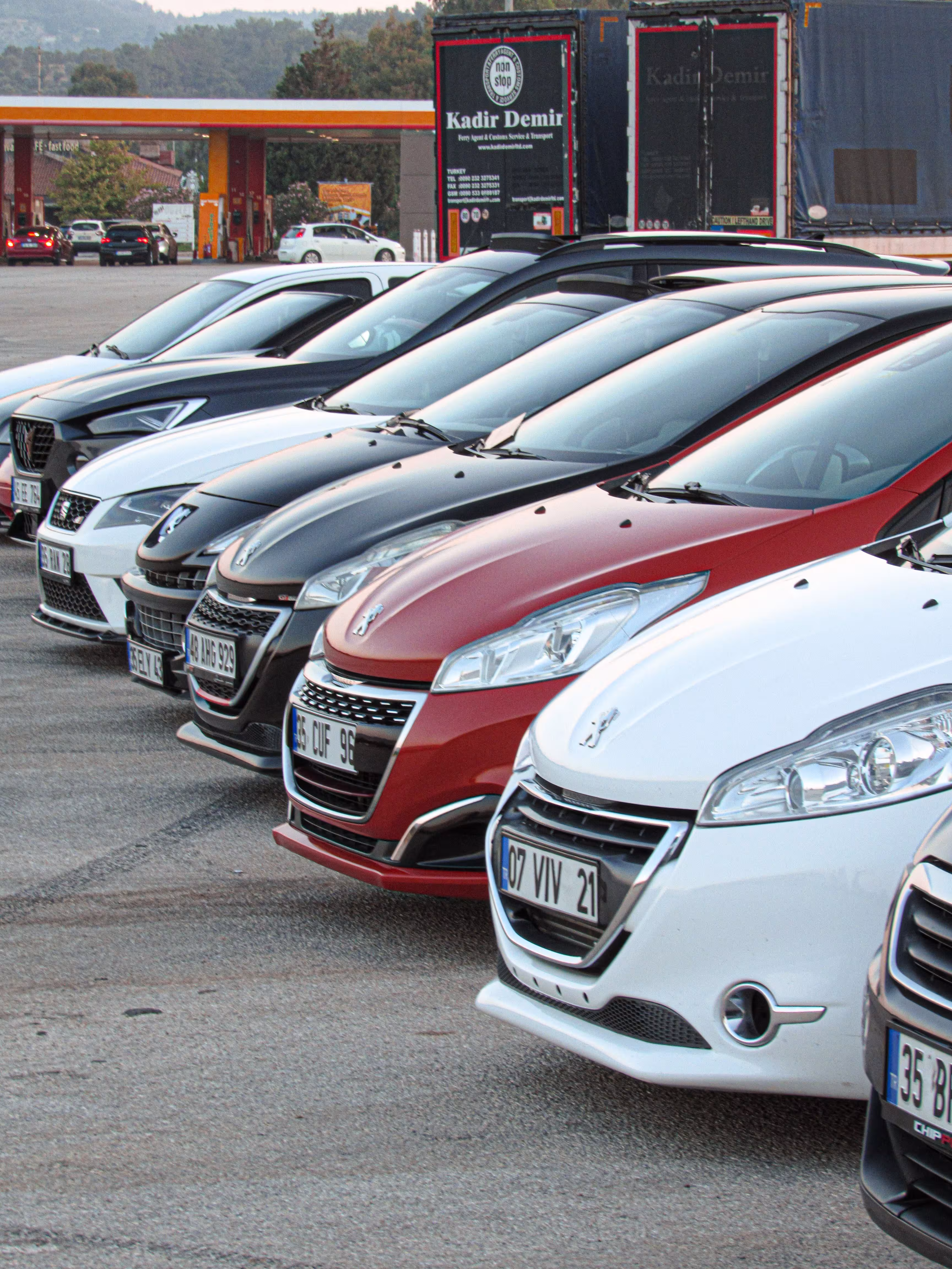 Car Rental and AAA Repair. Solid and Sustainable Profits.